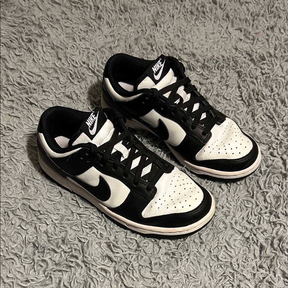 Nike Women’s Dunk Low